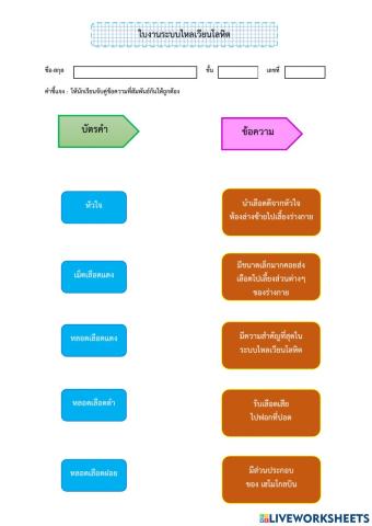ระบบไหลเวียนโลหิต