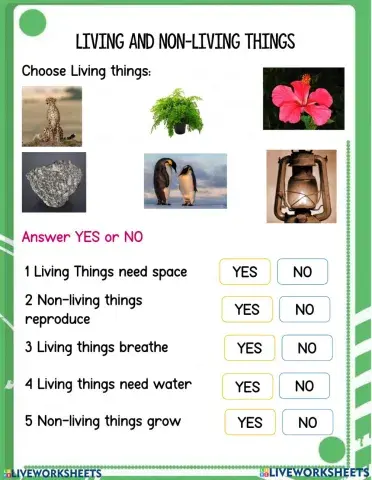 Living Things and Non-Living Things 2