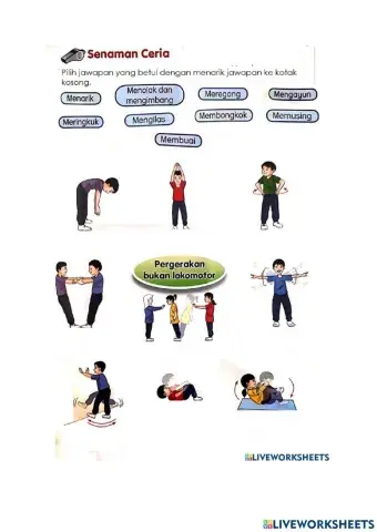 Pergerakan bukan lokomotor