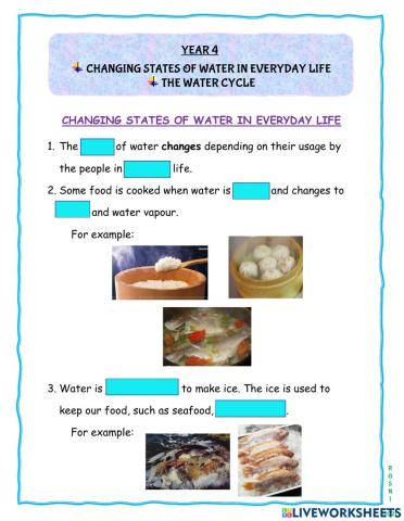 Changing states of water in everyday life  & water cycle