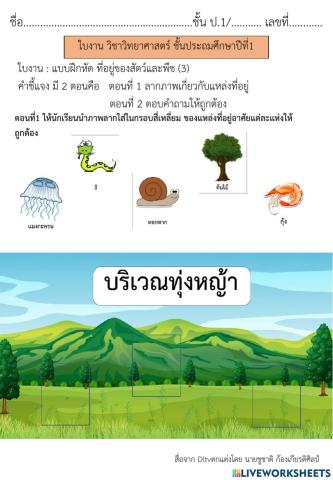 ที่อยู่ของสัตว์และพืช (3)
