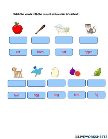 Match the word with the correct picture - Starter - Family and Friends 2 (National edition)