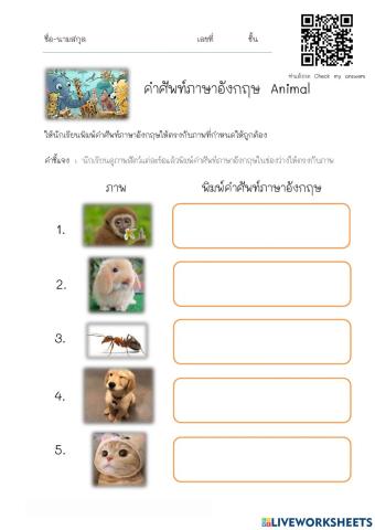 คำศัพท์ง่ายๆ