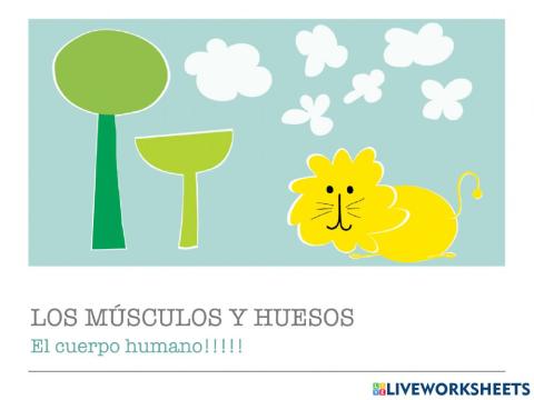 Video el cuerpo humano