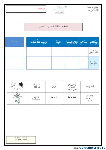 الفرق بين التكاثر الجنسي واللاجنسي