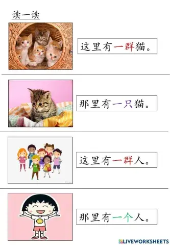 量词：一只一个一群