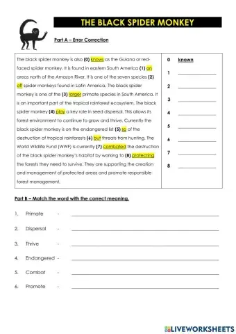 Black Spider Monkey (Answer)