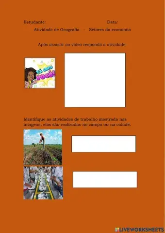 Como se estruturam as atividades econômicas de um país
