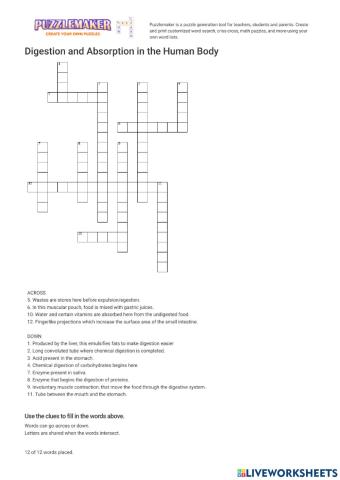 Digestion and Absorption in the Human Body