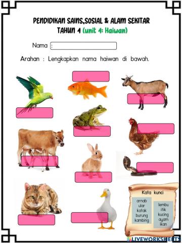 Nama haiwan