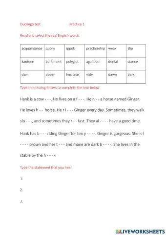 Duolingo test Practice 1