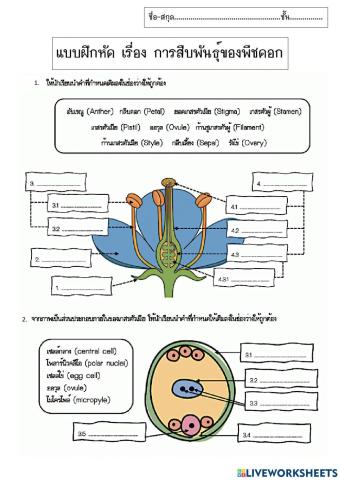 ใบงาน เรื่อง การสืบพันธุ์ของพืชดอก