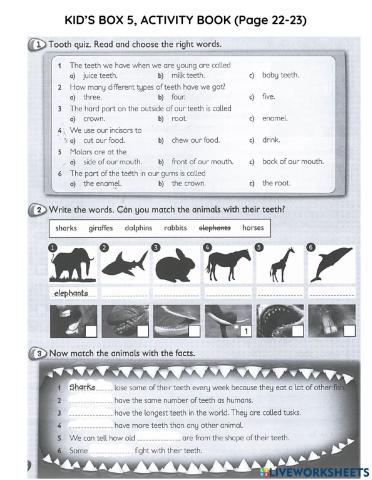 Activity book page 22-23