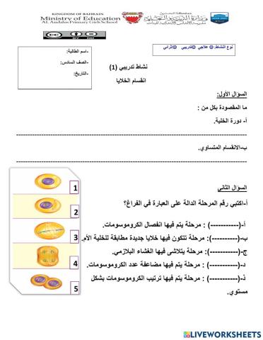 أنشطة كتابية انقسام الخلية والوراثة