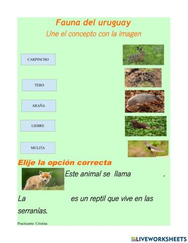 Fauna del uruguay