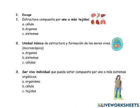 Organización multicelular (célula, tejido, órgano, sistema, organismo)3