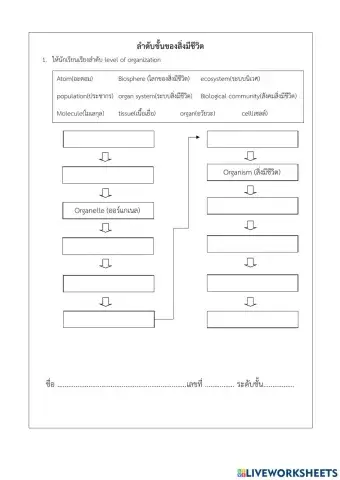 ลำดับขั้นของสิ่งมีชีวิต