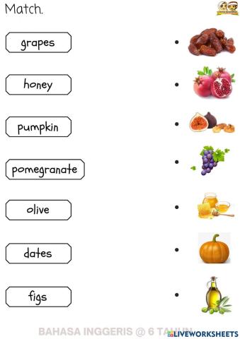 ENG : Sunnah Food