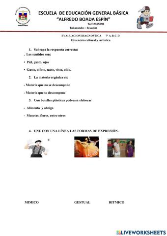 Evaluación diagnóstica Educación Cultural y Artística