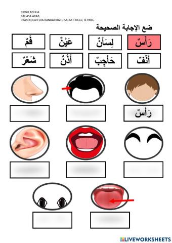 Bahasa arab ( في وجهي )