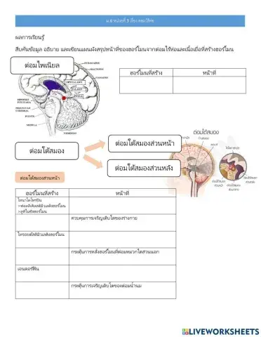 ม.6 แบบฝึกหัดเรื่อง ต่อมไร้ท่อ