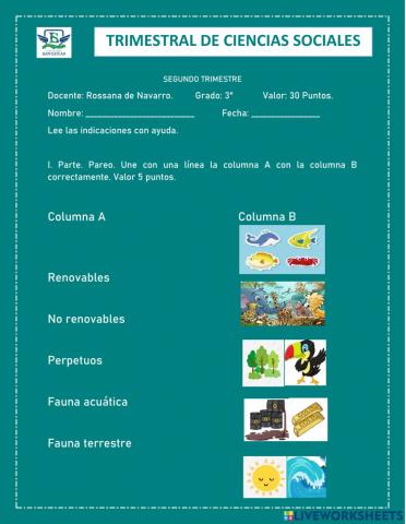 Trimestral Sociales nee