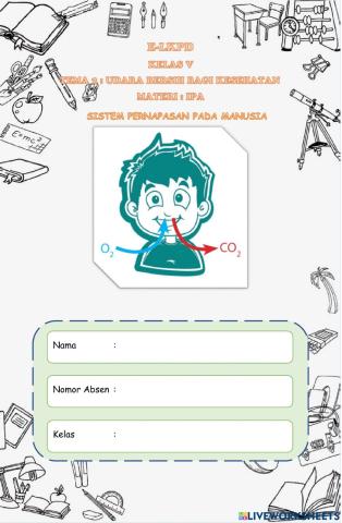 Sistem Pernapasan Manusia