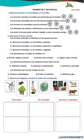Evaluación - C. Naturales
