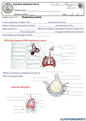 Health - Our Body WS3