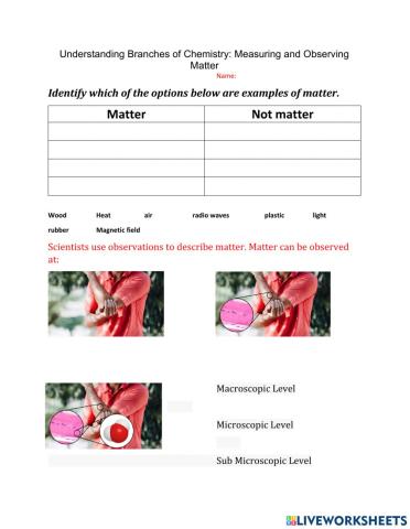 Understanding Branches of Chemistry: Measuring and Observing Matter