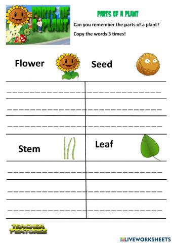 Parts of a Plant - Spelling