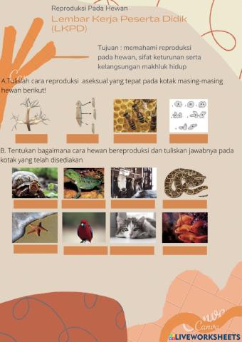 Reproduksi pada hewan