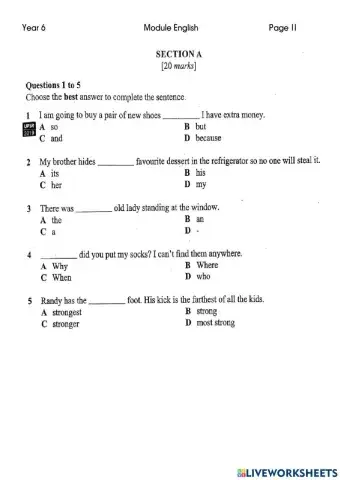 Year 6 Grammar Practice