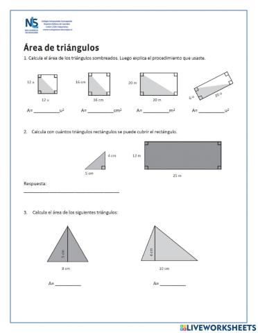 Área de Triángulos