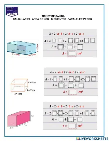 Ticket área paralelepipedo