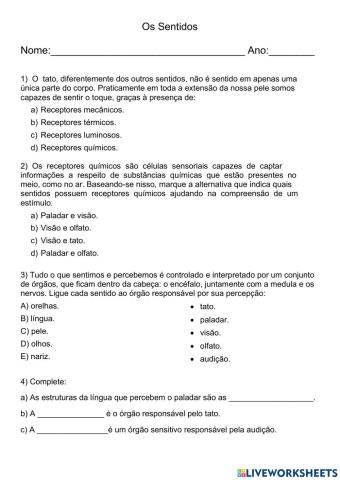 Os sentidos