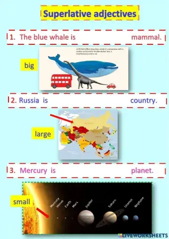 Superlative sentences