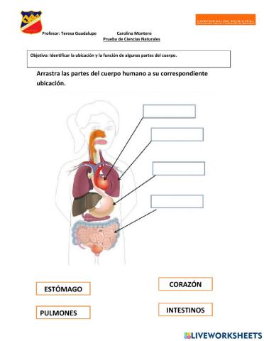 Evaluación partes de nuestro cuerpo