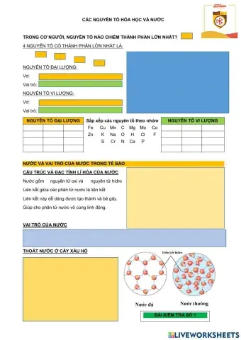 Bài 3. sinh 10. nguyên tố hóa học và nước
