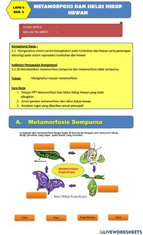 LKPD 6 Bab.2 Metamorfosis dan Siklus Hidup Hewan