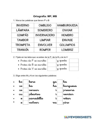 Uso de la letra M y N