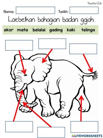 Labelkan anggota haiwan gajah