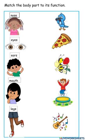 Body Functions