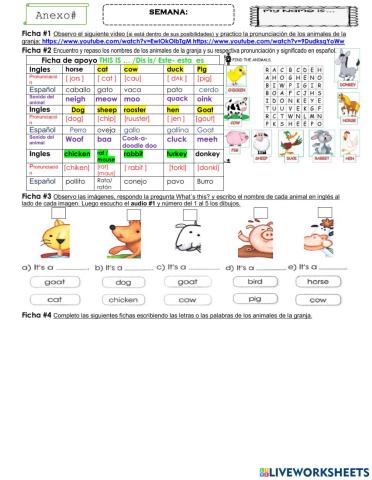 Ficha animales segundo