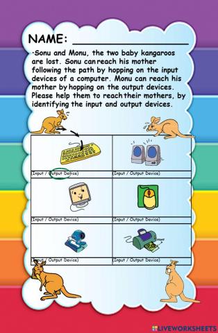 Input and Output devices