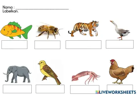 Label nama haiwan