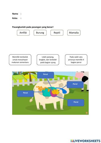 Latihan IPA Pencernaan Hewan