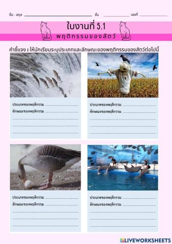 ใบงานที่5.1 พฤติกรรมของสัตว์