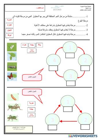 دورات الحياة1