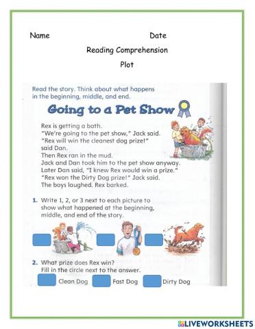Reading Comprehension Plot
